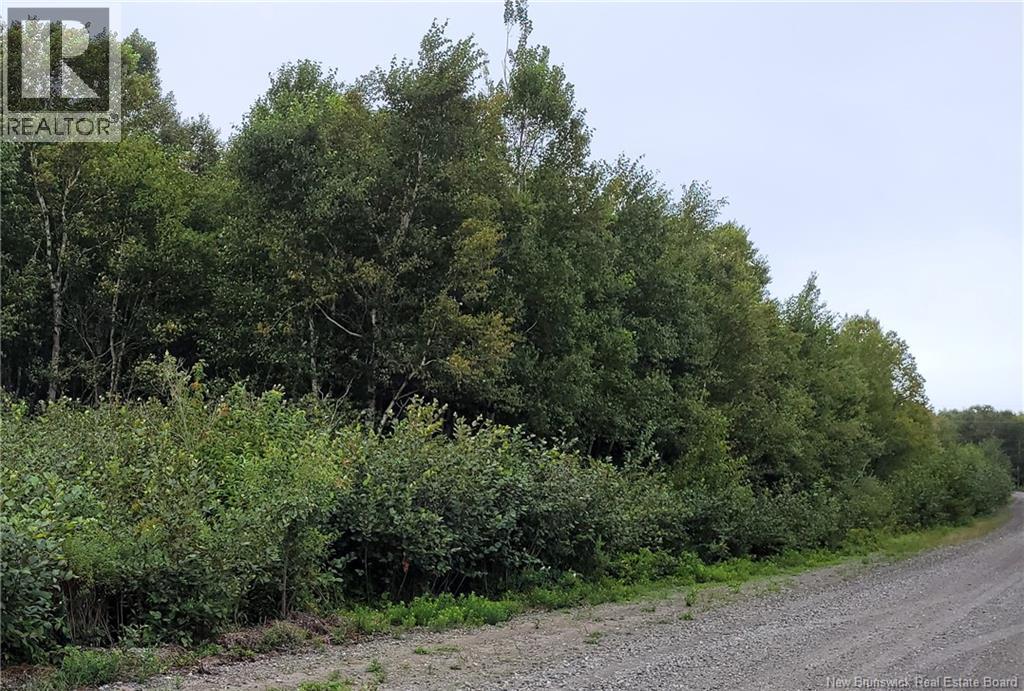 501 Fundy Drive, Wilsons Beach, New Brunswick E5E 1Y8 - Photo 2 - NB136179