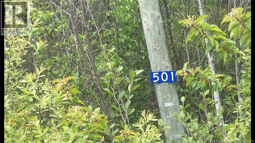 501 Fundy Drive, Wilsons Beach, New Brunswick  E5E 1Y8 - Photo 7 - NB136179