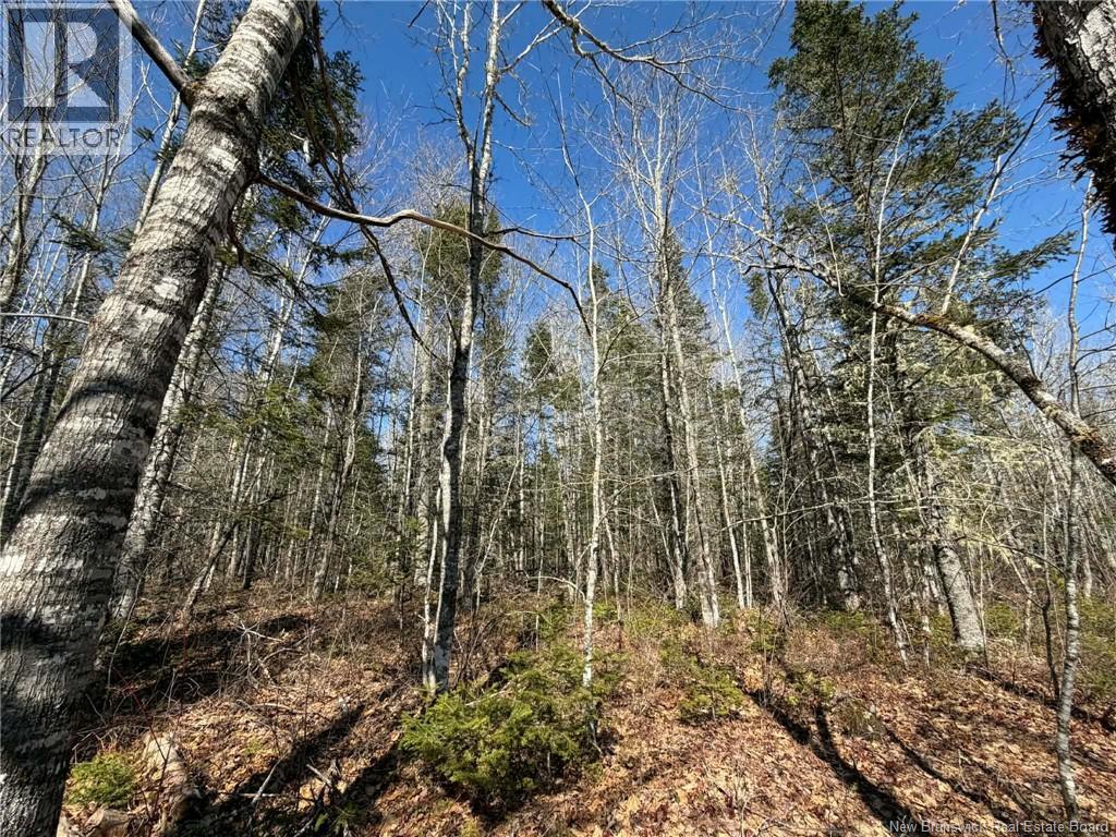140 Pine Tree Lane, Hunters Home, New Brunswick E4C 3J6 - Photo 23 - NB133860