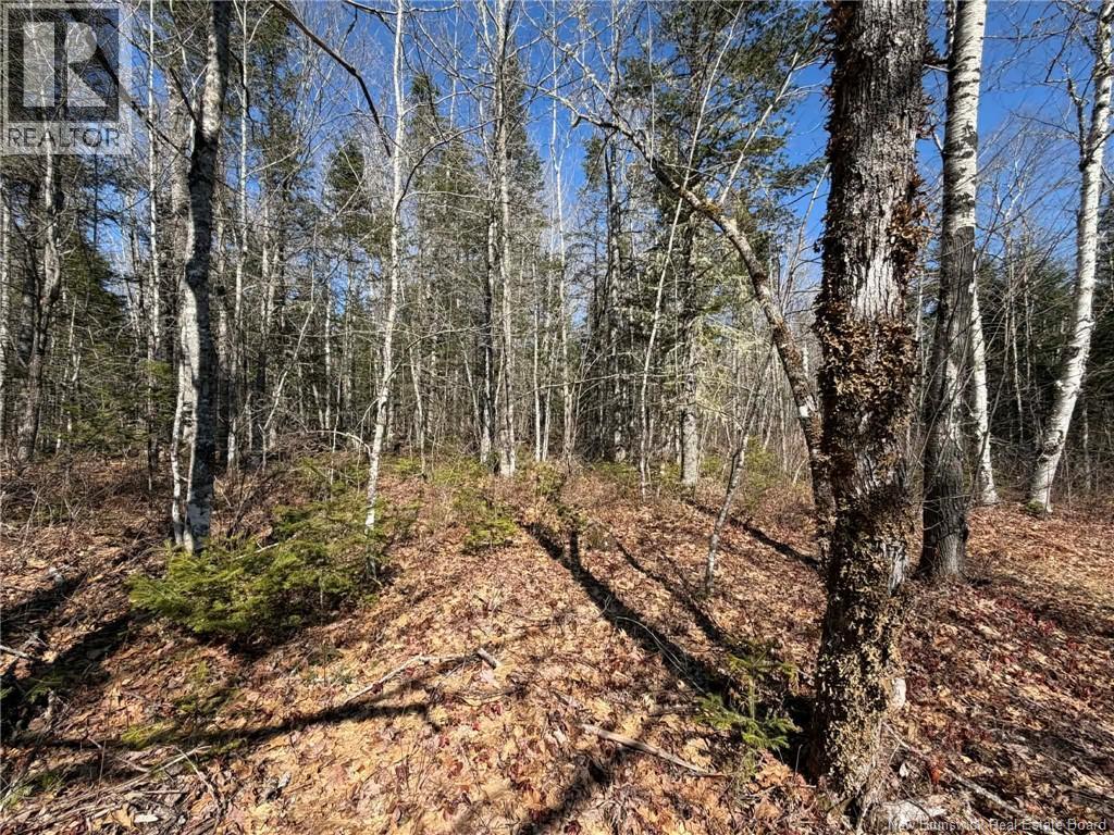 140 Pine Tree Lane, Hunters Home, New Brunswick E4C 3J6 - Photo 24 - NB133860