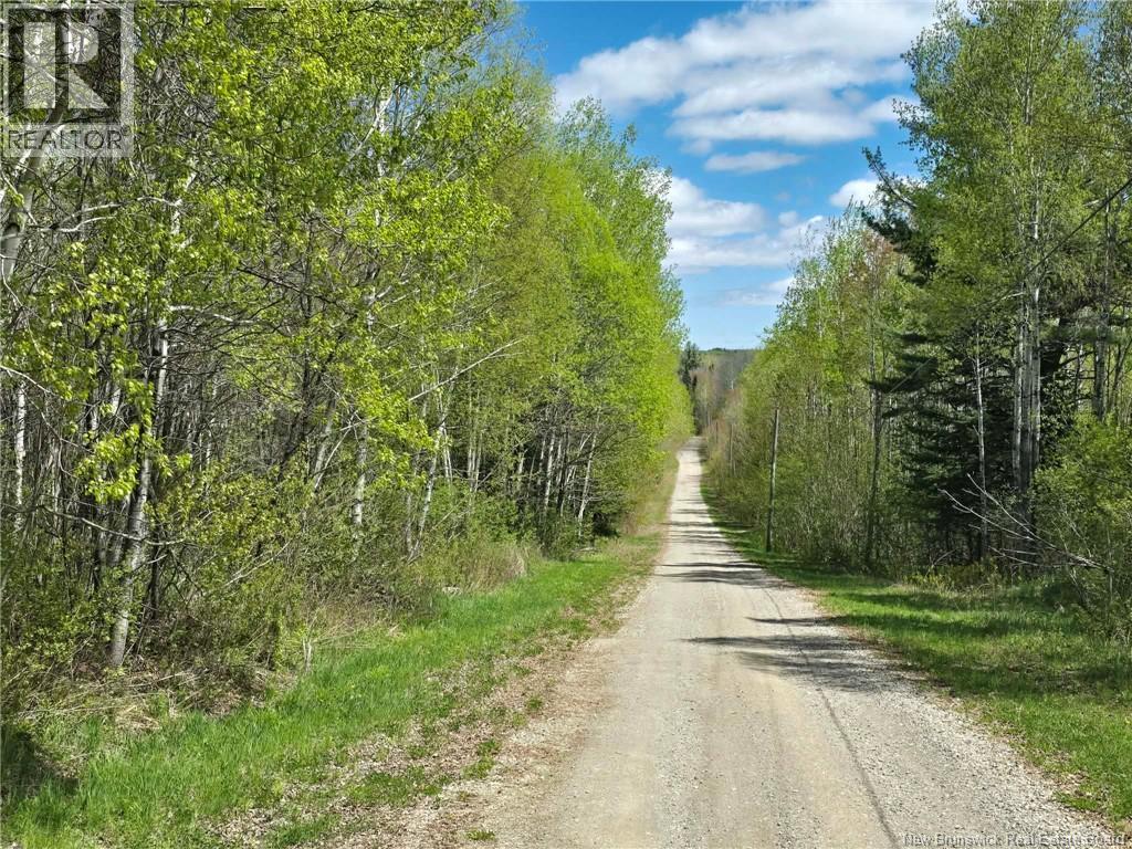 52 Shamrock Valley, Big River, New Brunswick  E2A 7M1 - Photo 48 - NB136299