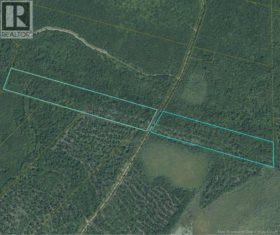 00 Woodlot 99 Chemin Richard - Saint-Norbert, Saint-Norbert, New Brunswick