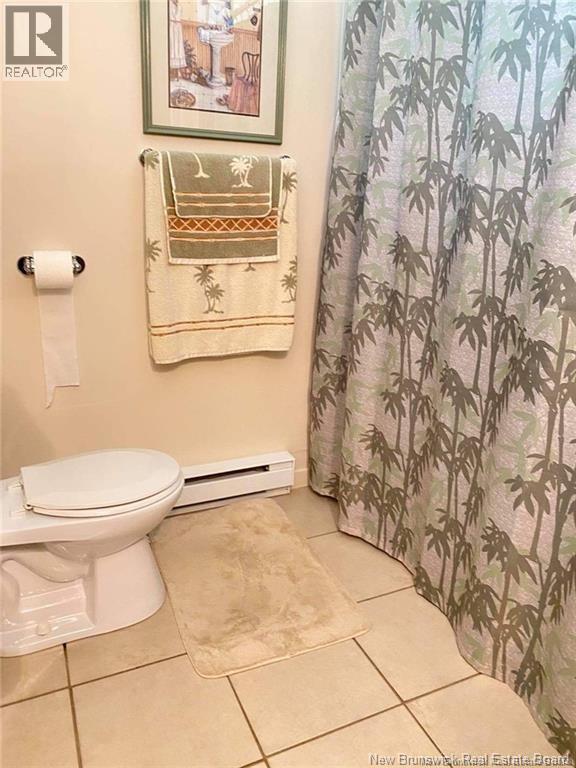 251 Tobique Road, Grand-Sault/grand Falls, New Brunswick E3Y 1E8 - Photo 19 - NB136329
