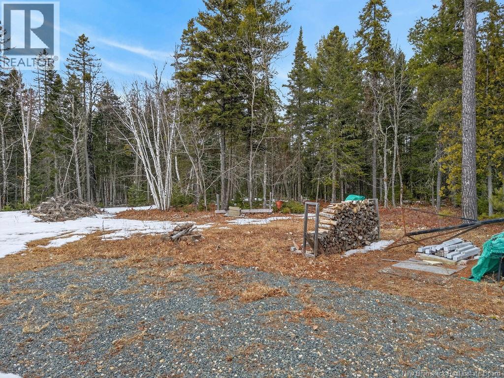 1056 Halcomb Road, Halcomb, New Brunswick  E9E 1X4 - Photo 37 - NB136205