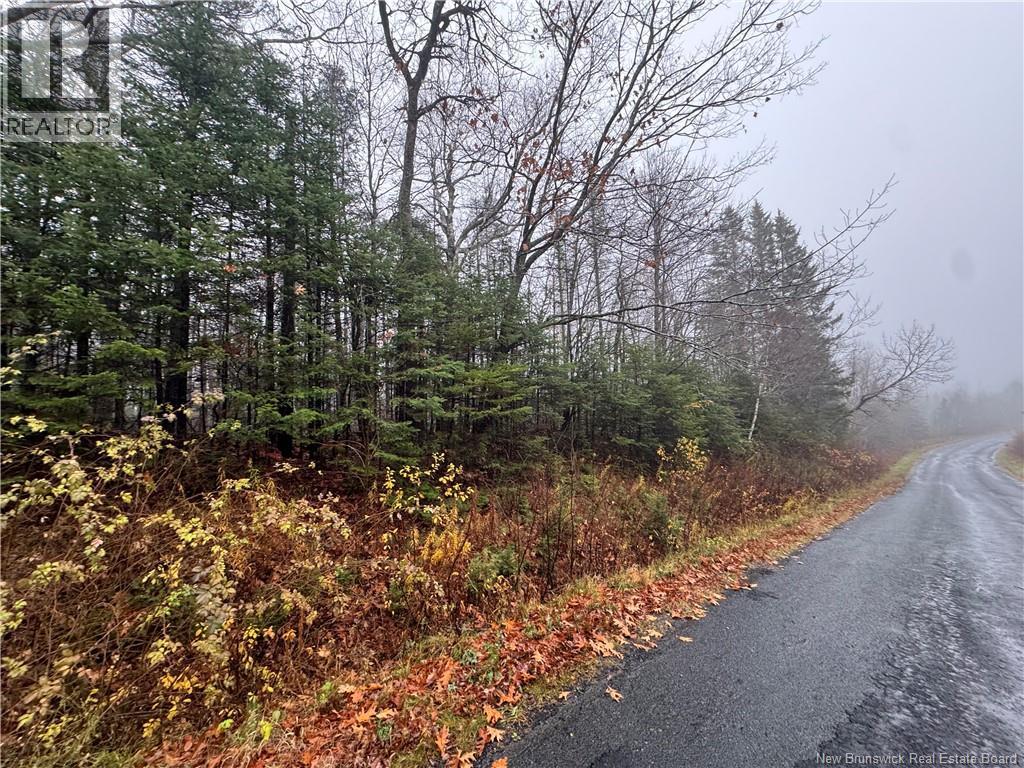 25-02 St. David Ridge Road, Oak Bay, New Brunswick  E3L 4R1 - Photo 3 - NB136354