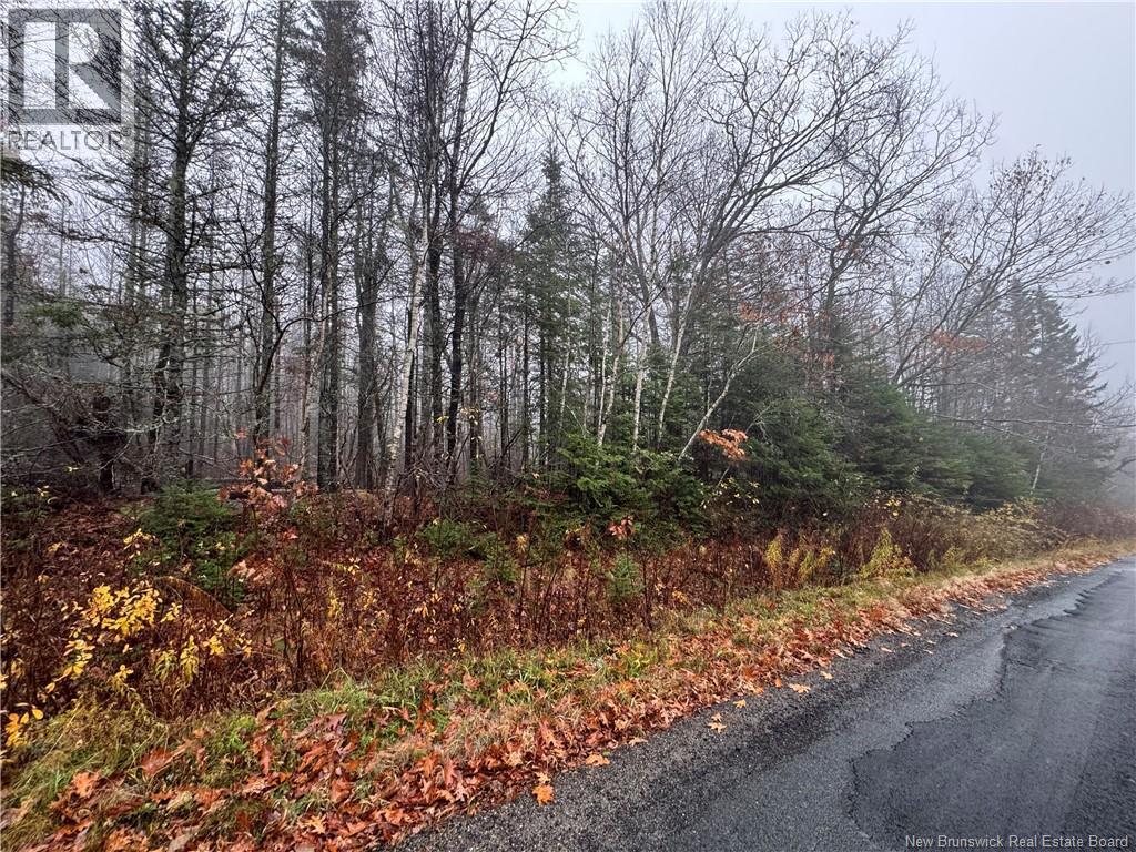 25-02 St. David Ridge Road, Oak Bay, New Brunswick  E3L 4R1 - Photo 4 - NB136354