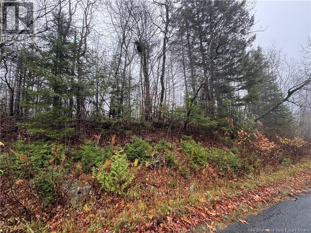 25-01 St. David Ridge Road, Oak Bay, New Brunswick  E3L 4R1 - Photo 1 - NB136351