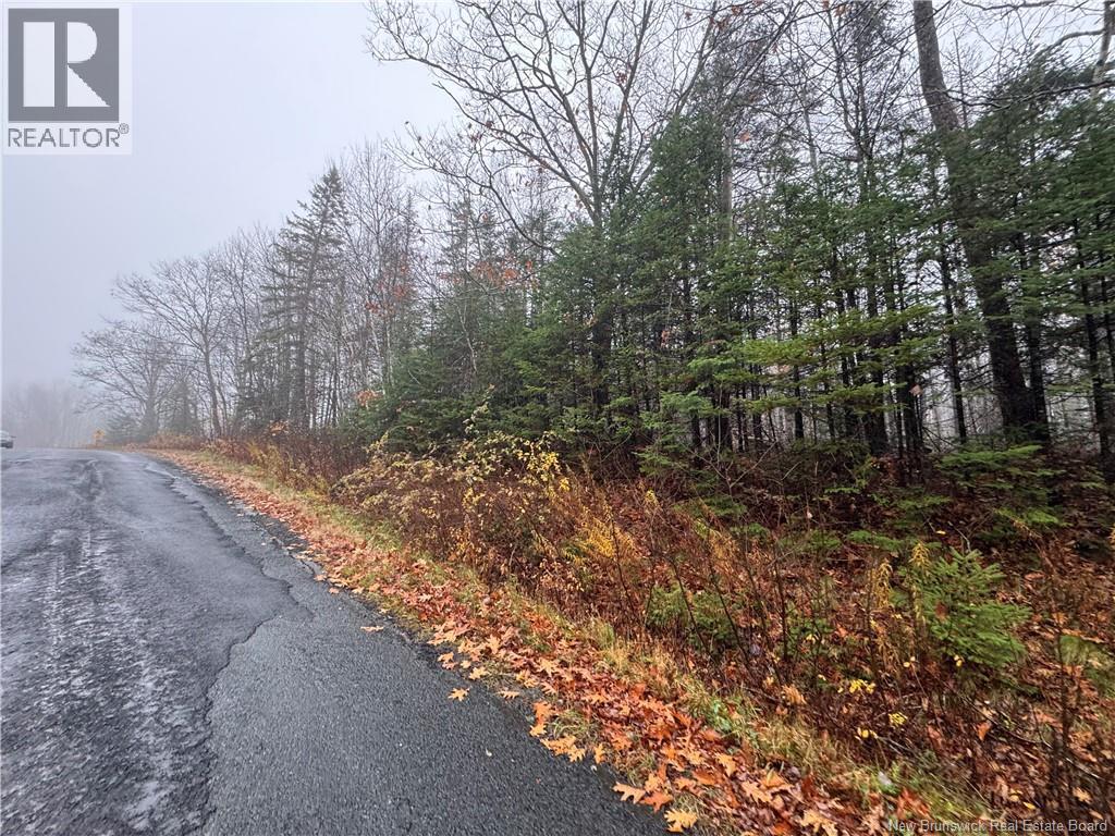 25-01 St. David Ridge Road, Oak Bay, New Brunswick  E3L 4R1 - Photo 2 - NB136351