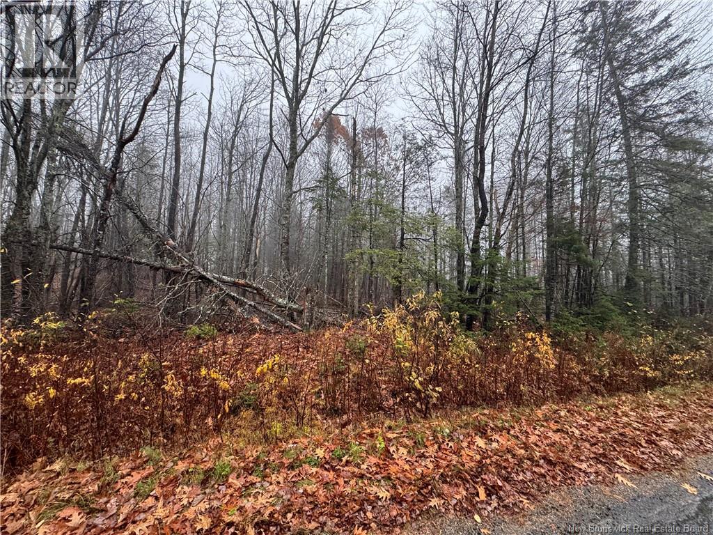 25-01 St. David Ridge Road, Oak Bay, New Brunswick  E3L 4R1 - Photo 5 - NB136351