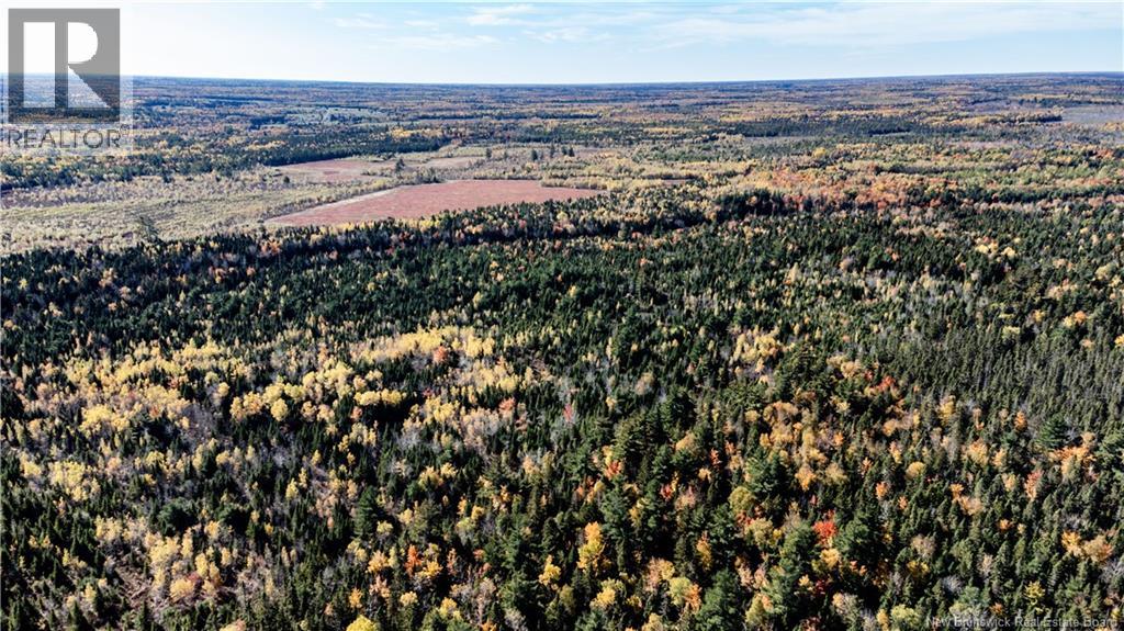 Lot Saint Charles N, Saint-Charles, New Brunswick  E4W 4X8 - Photo 4 - NB136291