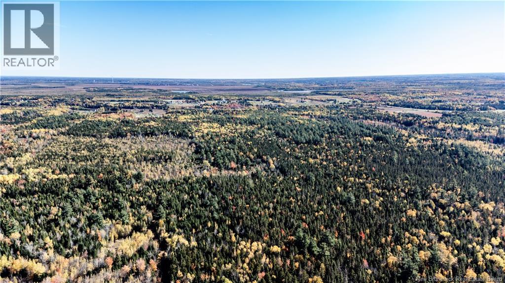 Lot Saint Charles N, Saint-Charles, New Brunswick  E4W 4X8 - Photo 5 - NB136291