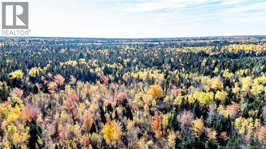 Lot Saint Charles N, Saint-Charles, New Brunswick  E4W 4X8 - Photo 9 - NB136291