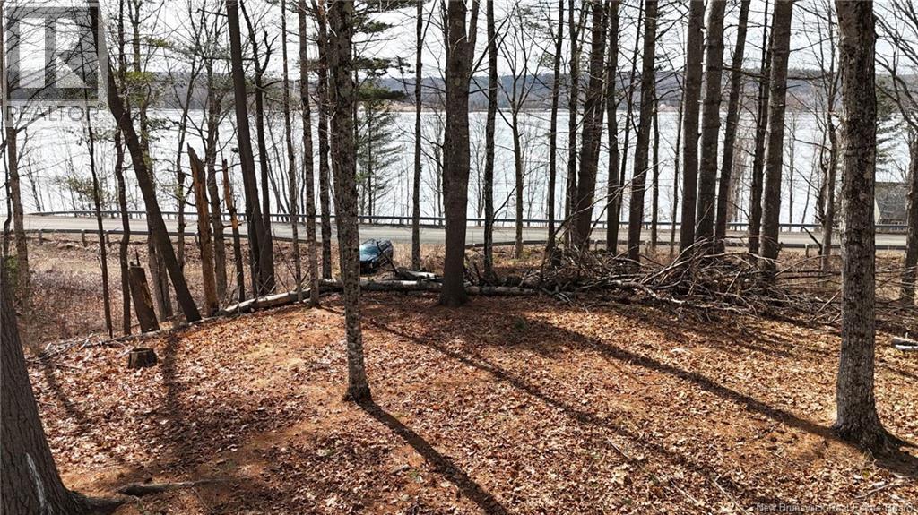 Lot 11-6 Route 105, Bear Island, New Brunswick E6L 1H2 - Photo 2 - NB136072