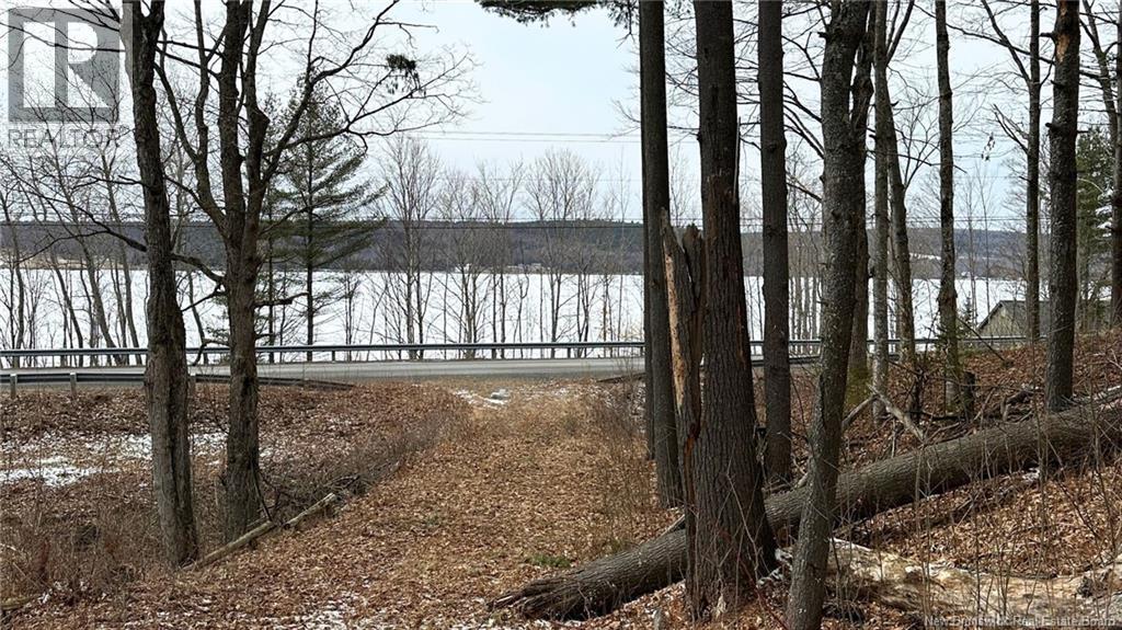 Lot 11-6 Route 105, Bear Island, New Brunswick E6L 1H2 - Photo 4 - NB136072