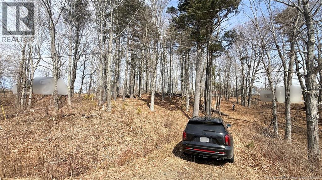 Lot 11-6 Route 105, Bear Island, New Brunswick E6L 1H2 - Photo 7 - NB136072