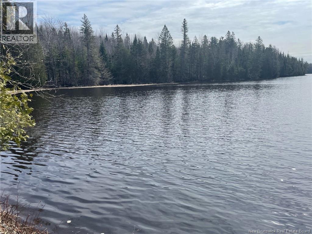 Lot 23-1 And Lot 23-2 Alden Warmen Road, Bass River, New Brunswick E4T 1A9 - Photo 10 - NB136348