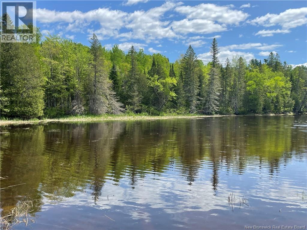 Lot 23-1 And Lot 23-2 Alden Warmen Road, Bass River, New Brunswick E4T 1A9 - Photo 13 - NB136348
