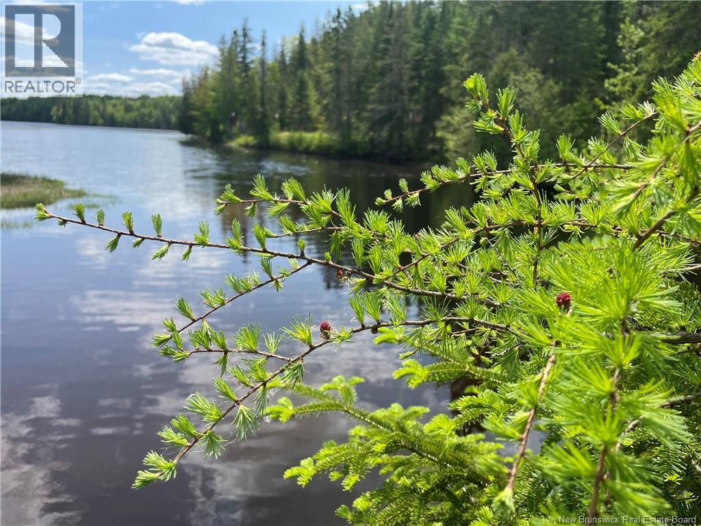 Lot 23-1 And Lot 23-2 Alden Warmen Road, Bass River, New Brunswick E4T 1A9 - Photo 14 - NB136348