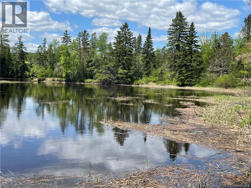 Lot 23-1 And Lot 23-2 Alden Warmen Road, Bass River, New Brunswick E4T 1A9 - Photo 16 - NB136348