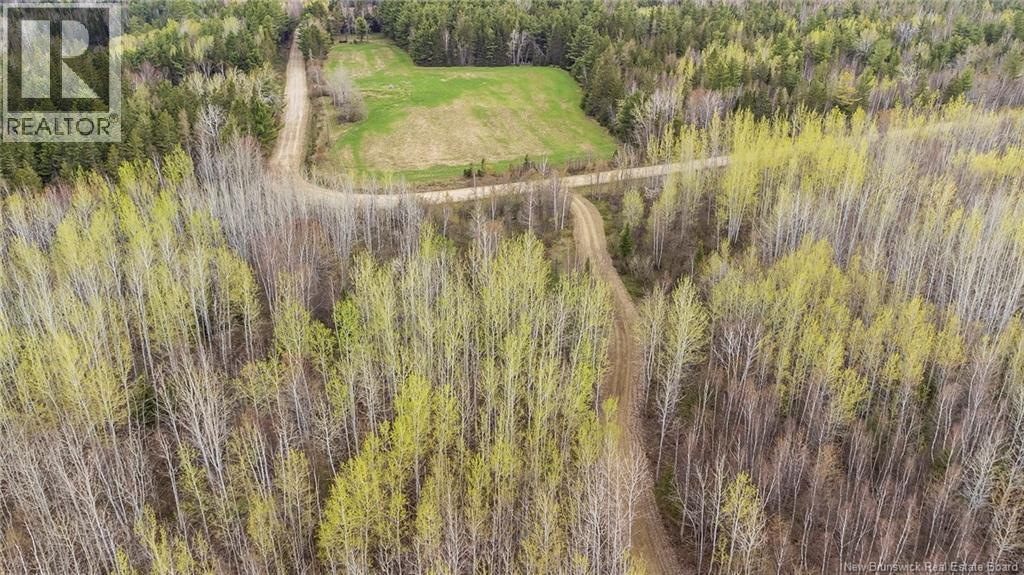 Lot 23-1 And Lot 23-2 Alden Warmen Road, Bass River, New Brunswick E4T 1A9 - Photo 18 - NB136348