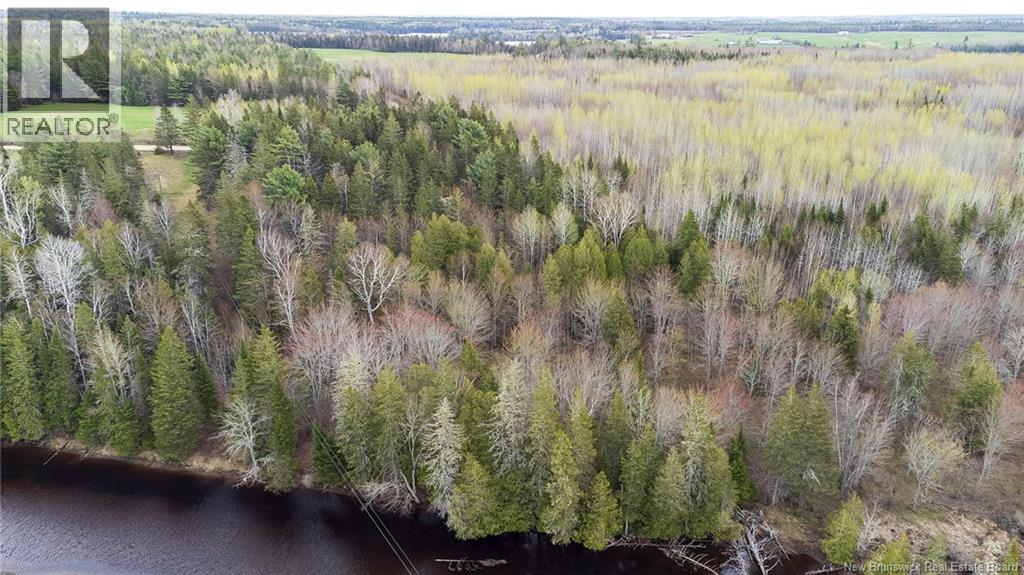 Lot 23-1 And Lot 23-2 Alden Warmen Road, Bass River, New Brunswick E4T 1A9 - Photo 25 - NB136348