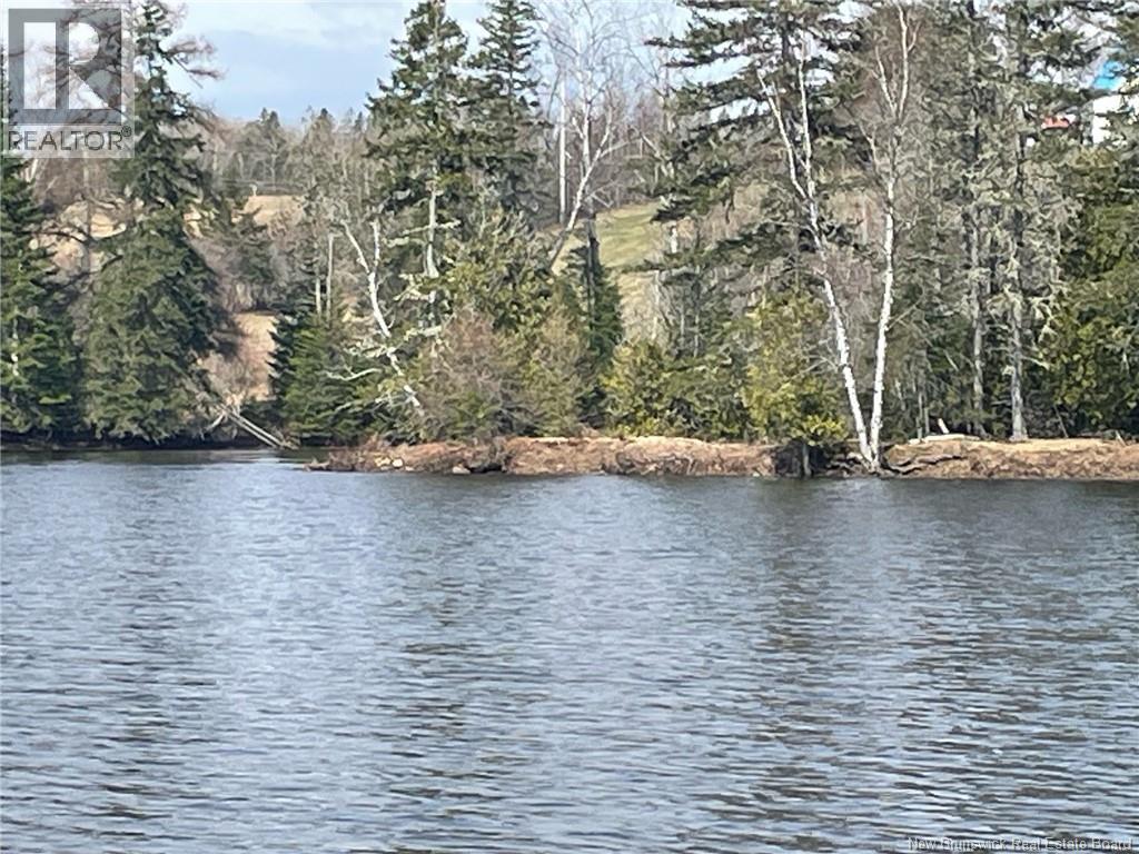Lot 23-1 And Lot 23-2 Alden Warmen Road, Bass River, New Brunswick E4T 1A9 - Photo 3 - NB136348