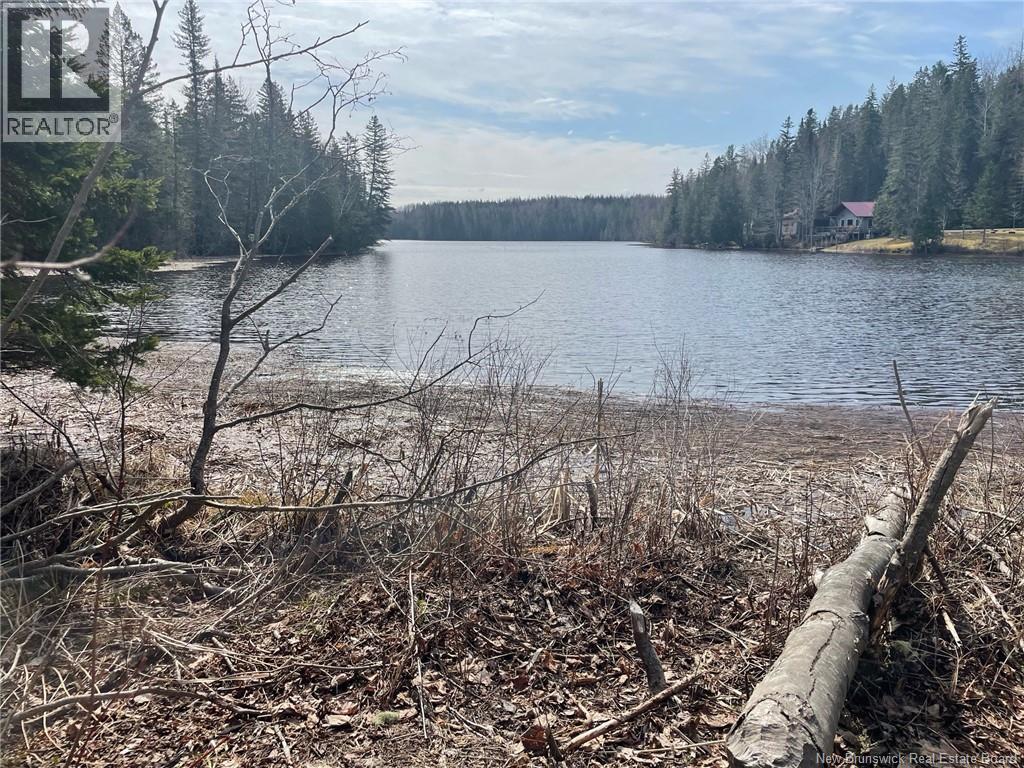 Lot 23-1 And Lot 23-2 Alden Warmen Road, Bass River, New Brunswick E4T 1A9 - Photo 8 - NB136348