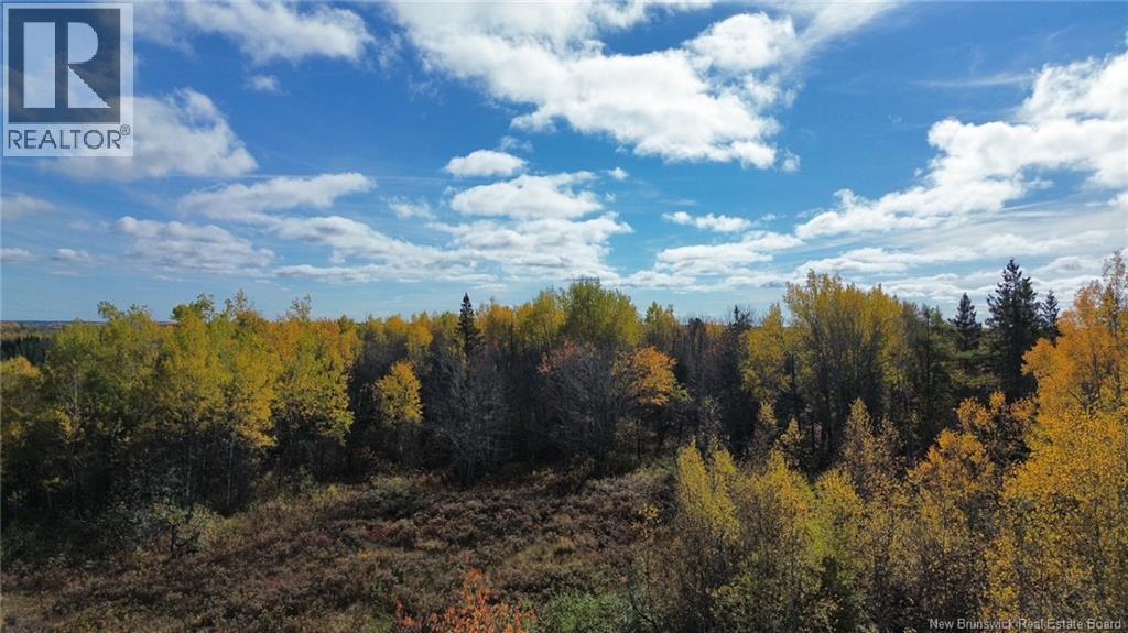 Lot Saint Augustin Road, Adamsville, New Brunswick  E4T 2E9 - Photo 6 - NB125889