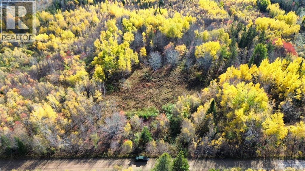 Lot Saint Augustin Road, Adamsville, New Brunswick  E4T 2E9 - Photo 9 - NB125889