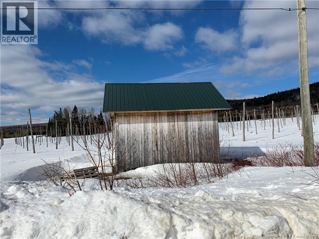 116 Maplehurst Road, Maplehurst, New Brunswick E7J 1S1 - Photo 15 - NB136402
