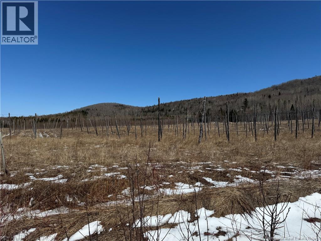 116 Maplehurst Road, Maplehurst, New Brunswick E7J 1S1 - Photo 17 - NB136402