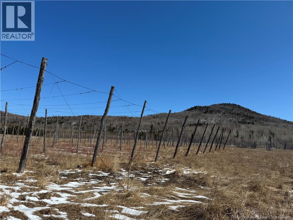 116 Maplehurst Road, Maplehurst, New Brunswick E7J 1S1 - Photo 18 - NB136402