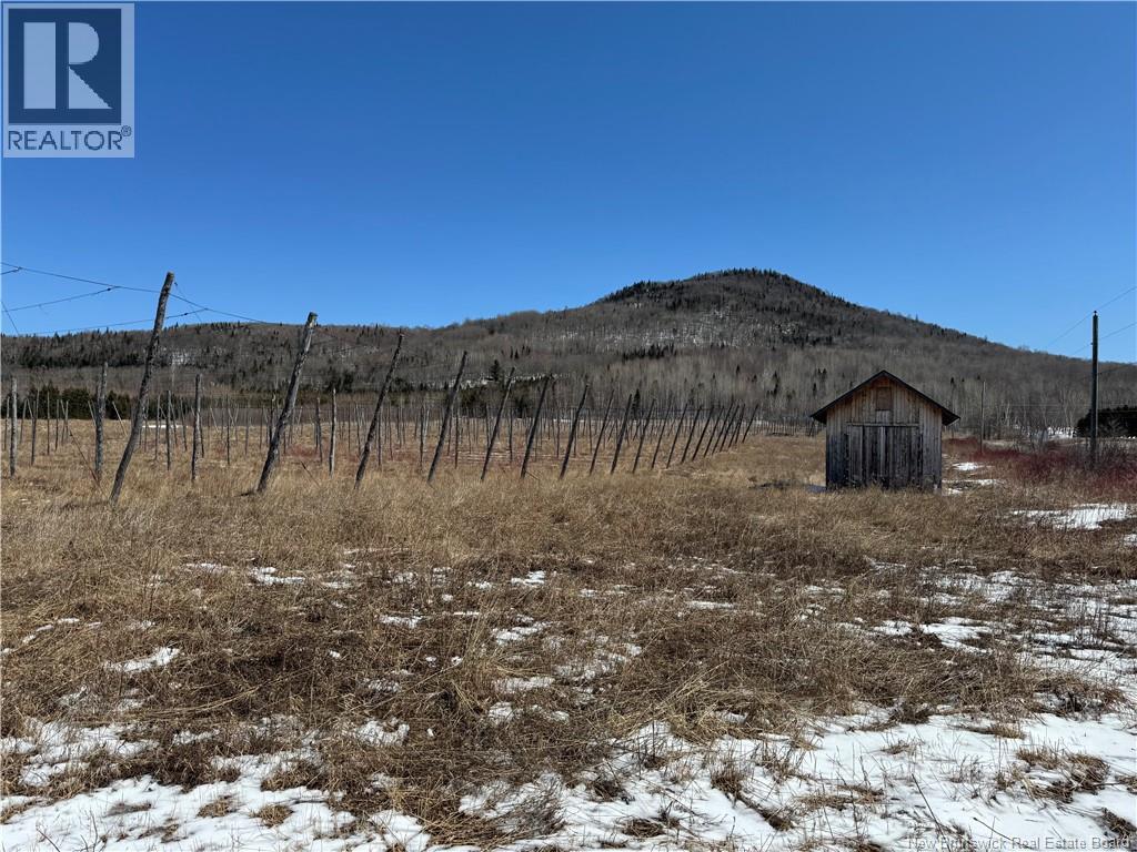 116 Maplehurst Road, Maplehurst, New Brunswick E7J 1S1 - Photo 21 - NB136402