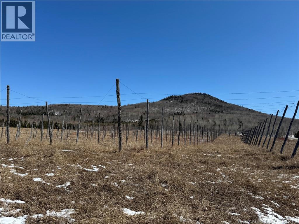 116 Maplehurst Road, Maplehurst, New Brunswick E7J 1S1 - Photo 24 - NB136402