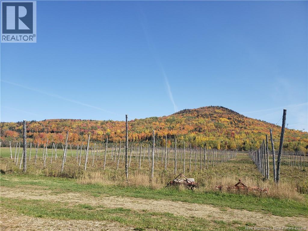 116 Maplehurst Road, Maplehurst, New Brunswick E7J 1S1 - Photo 3 - NB136402