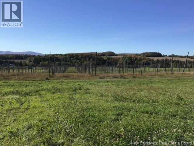 116 Maplehurst Road, Maplehurst, New Brunswick E7J 1S1 - Photo 4 - NB136402