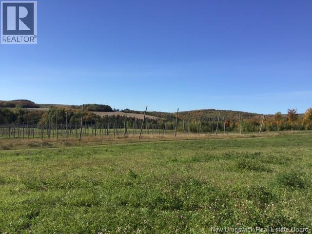 116 Maplehurst Road, Maplehurst, New Brunswick E7J 1S1 - Photo 7 - NB136402