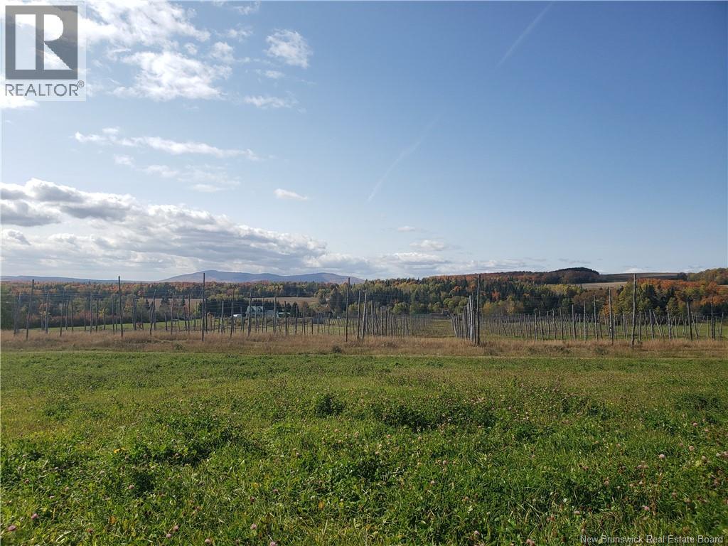 116 Maplehurst Road, Maplehurst, New Brunswick E7J 1S1 - Photo 9 - NB136402