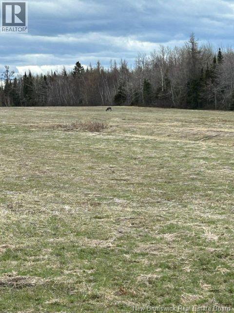 167 Rivière-Du-Portage Sud Street, Rivière-Du-Portage, New Brunswick  E9H 1S2 - Photo 16 - NB136412