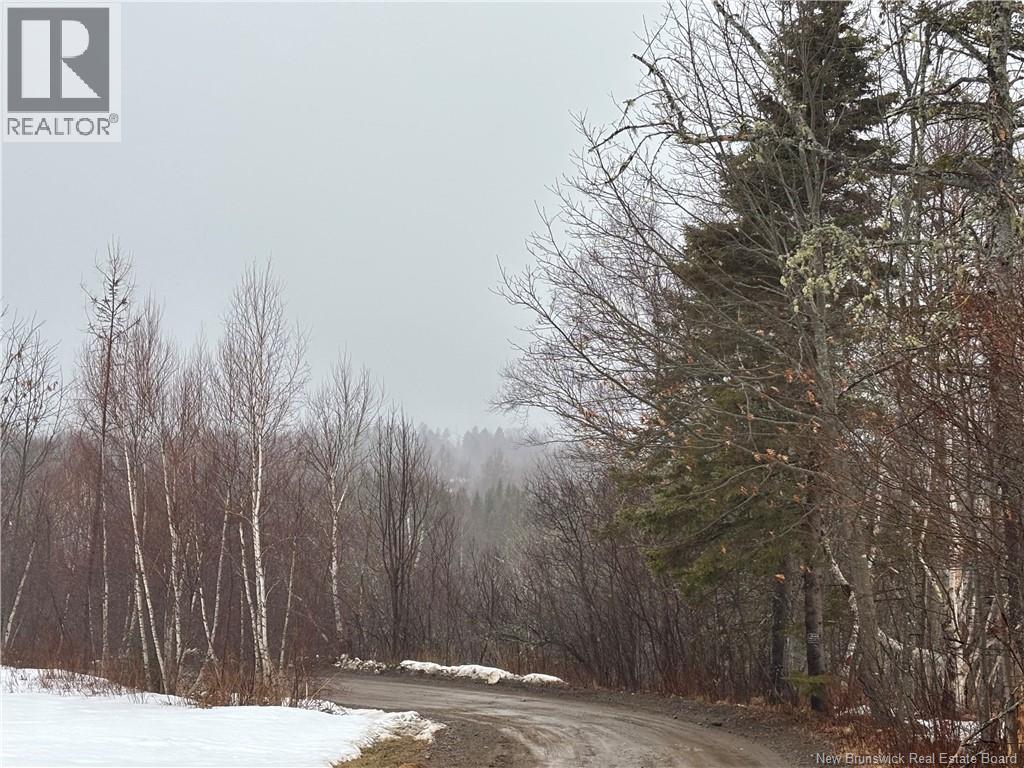 0 Route 127, Bayside, New Brunswick  E2K 3H6 - Photo 17 - NB135402
