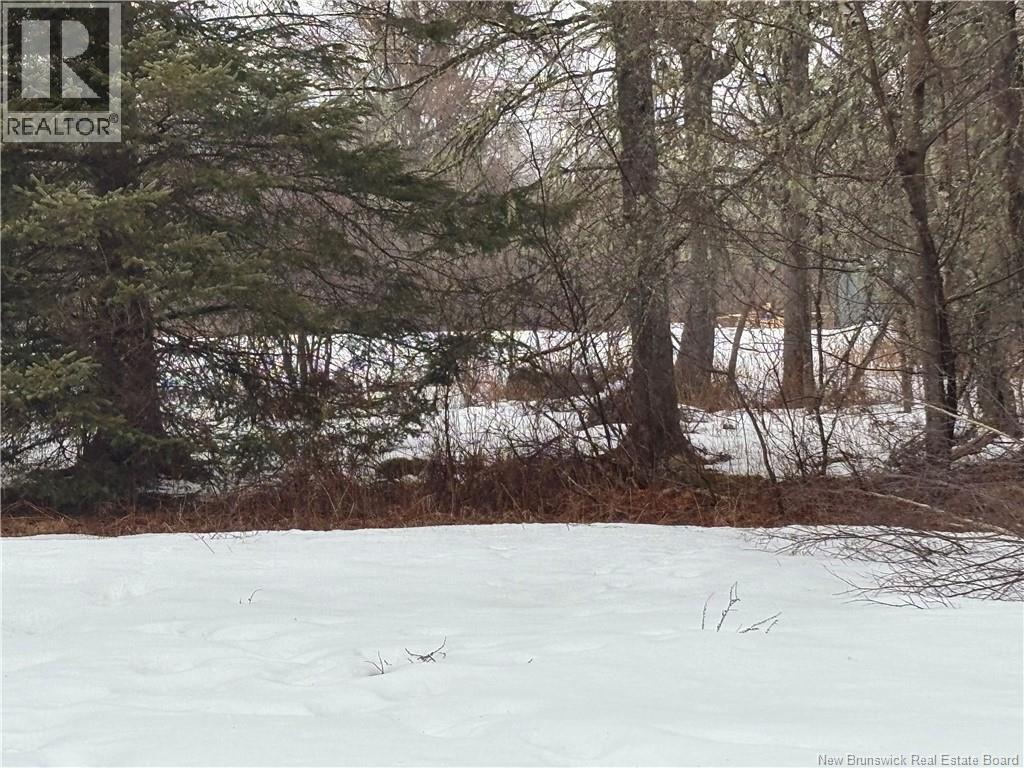 0 Route 127, Bayside, New Brunswick  E2K 3H6 - Photo 19 - NB135402