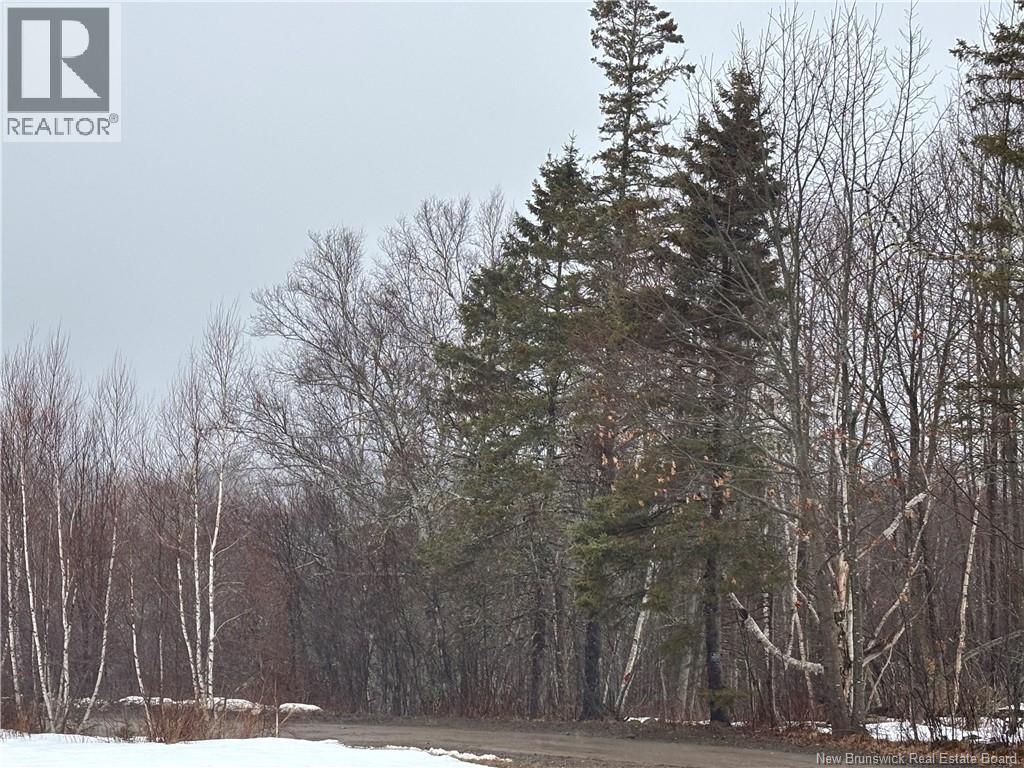 0 Route 127, Bayside, New Brunswick  E2K 3H6 - Photo 20 - NB135402