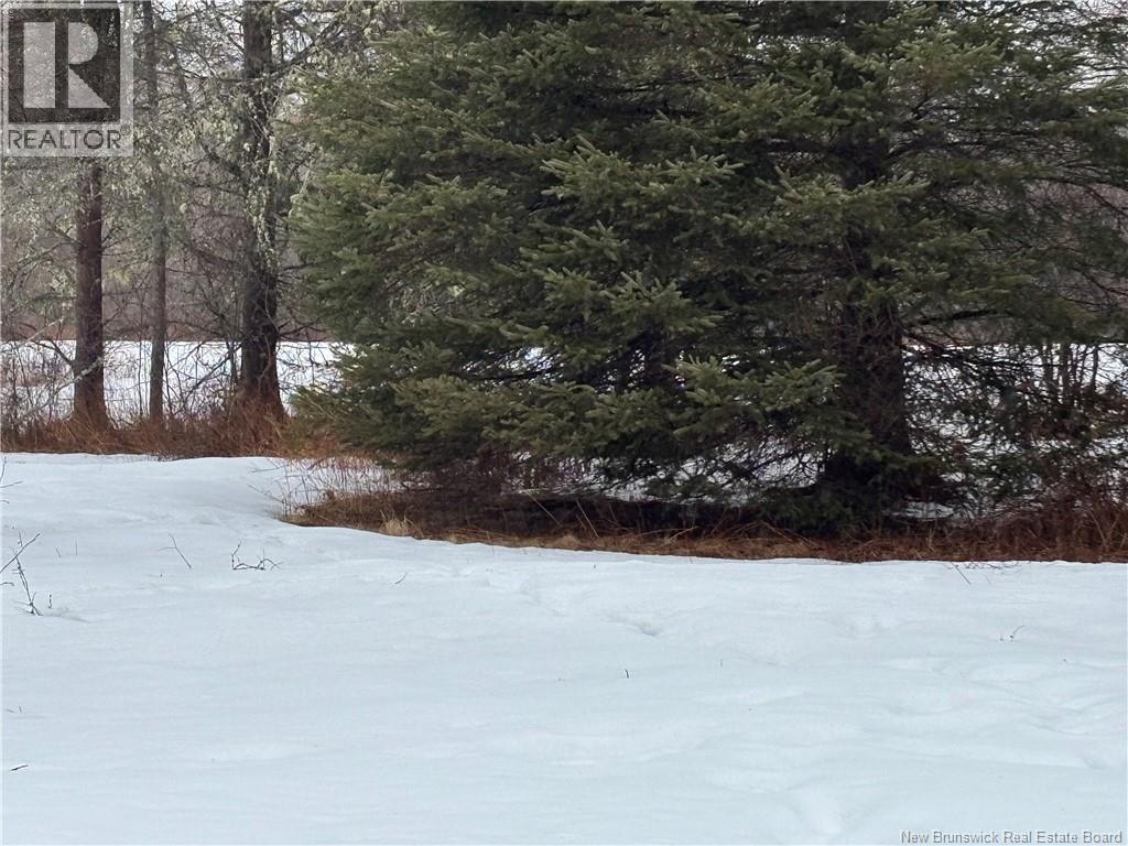 0 Route 127, Bayside, New Brunswick  E2K 3H6 - Photo 21 - NB135402
