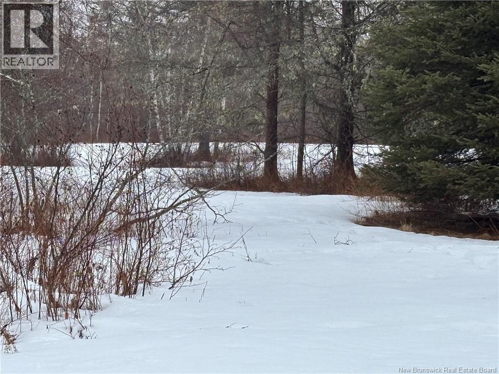 0 Route 127, Bayside, New Brunswick  E2K 3H6 - Photo 23 - NB135402