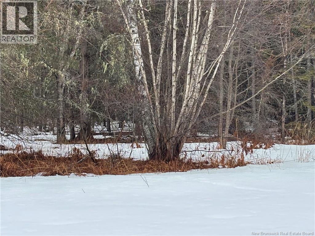 0 Route 127, Bayside, New Brunswick  E2K 3H6 - Photo 25 - NB135402