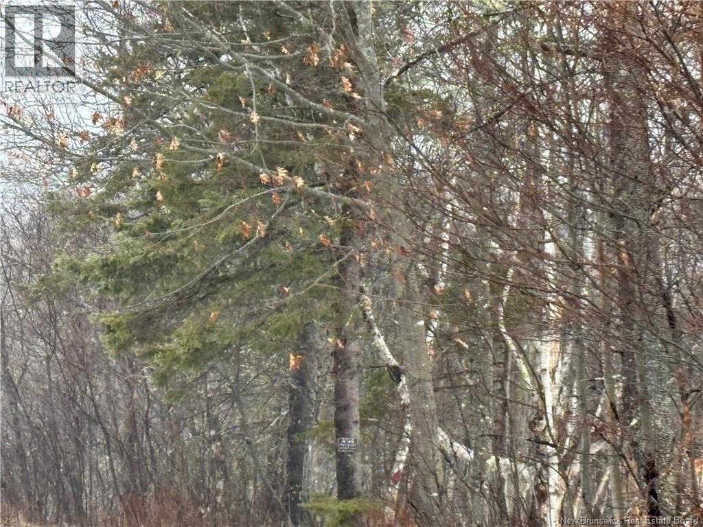 0 Route 127, Bayside, New Brunswick  E2K 3H6 - Photo 26 - NB135402