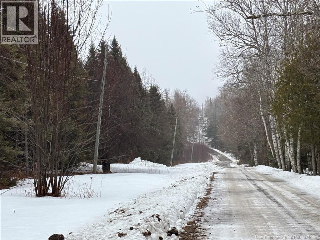 0 Route 127, Bayside, New Brunswick  E2K 3H6 - Photo 28 - NB135402