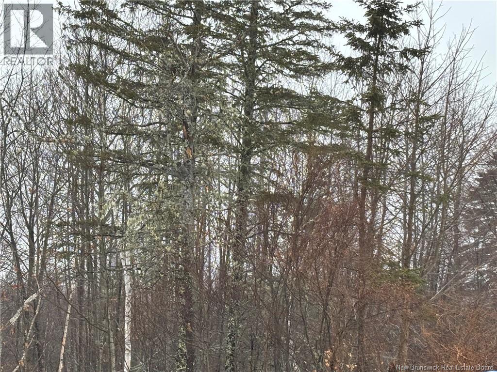 0 Route 127, Bayside, New Brunswick  E2K 3H6 - Photo 29 - NB135402