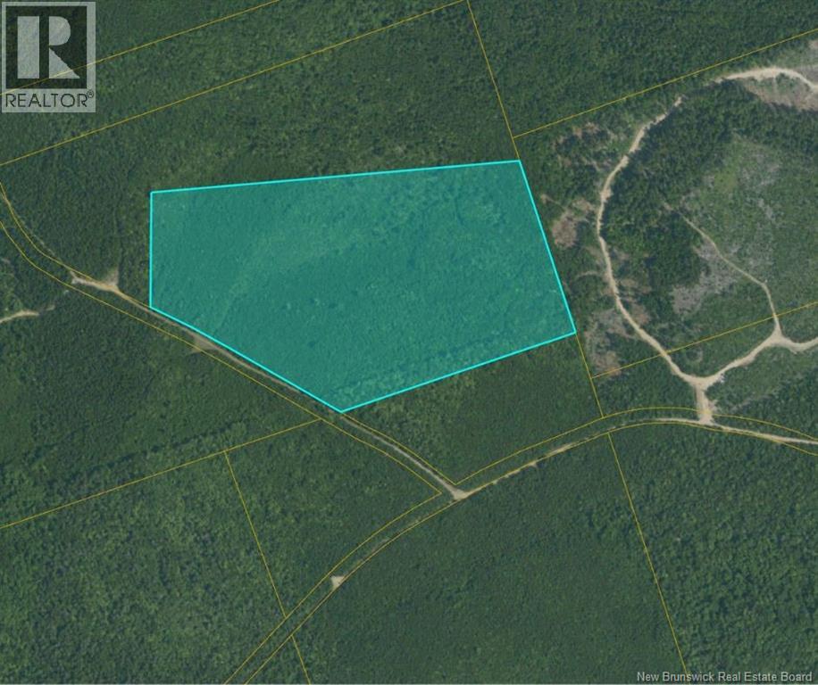 . Woodland Lot Smith Rd E-S - Baltimore, Baltimore, New Brunswick