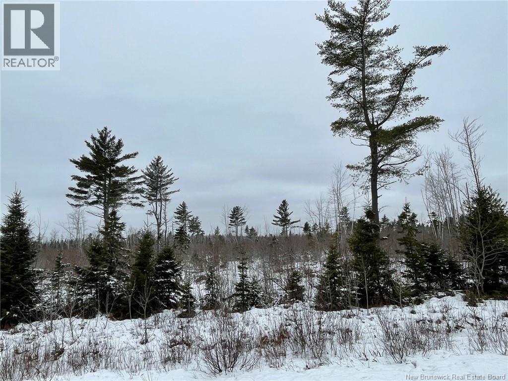 Oldfield Road, Bartibog, New Brunswick  E1V 6L4 - Photo 16 - NB136276